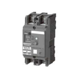 elcb 2p 50a 60a 100a BKW2503Y BKW2603SKY BKW21003KY
